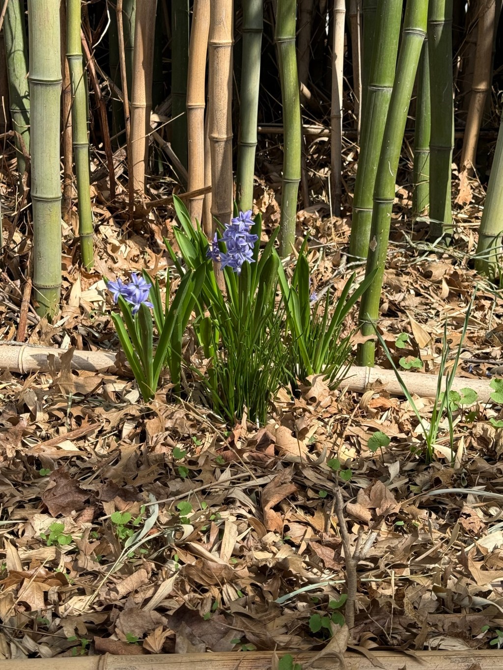 Hope & a love letter to my&nbsp;weekend